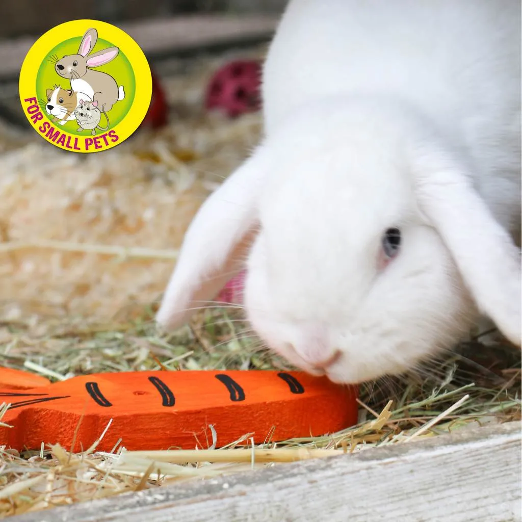 Ancol Carrot Cruncher Wooden Chew