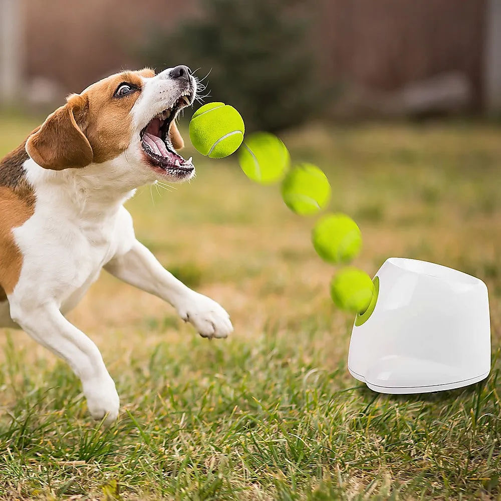 Automatic Dog Ball Launcher Machine - 3 Balls, ABS Plastic