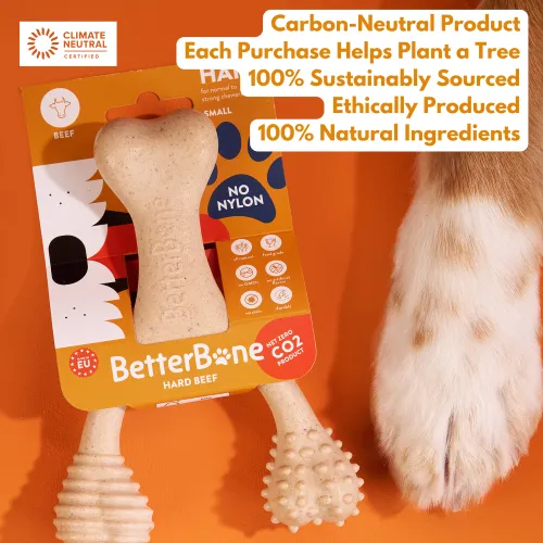 BetterBone Hard Density Beef Flavored Dental Chew Toy For Dogs