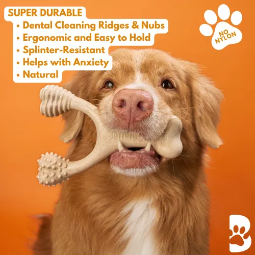 BetterBone Hard Density Beef Flavored Dental Chew Toy For Dogs