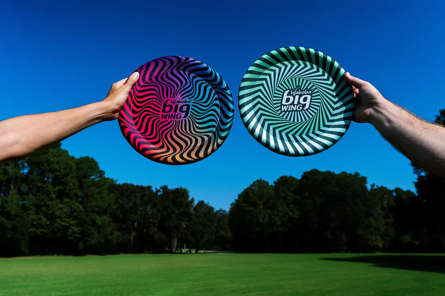 Big Wing Flying Disk Assorted