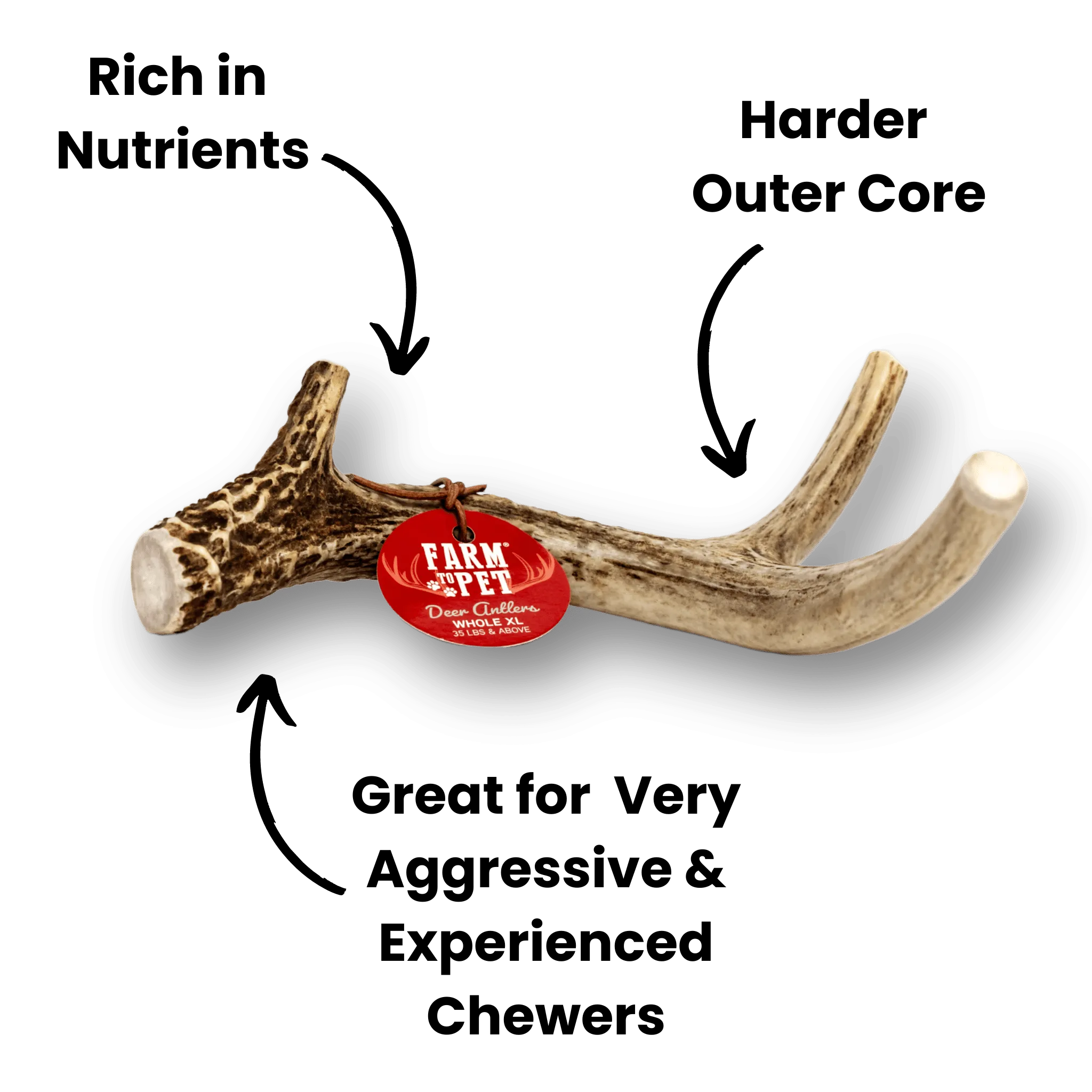 Deer Antlers for Dogs