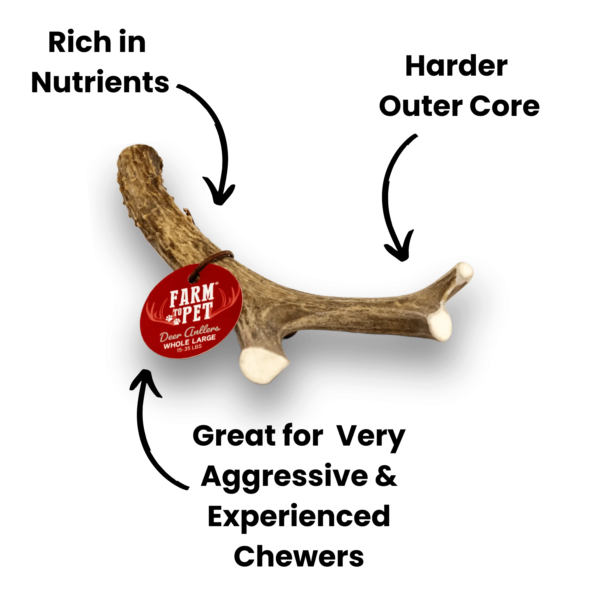 Deer Antlers for Dogs