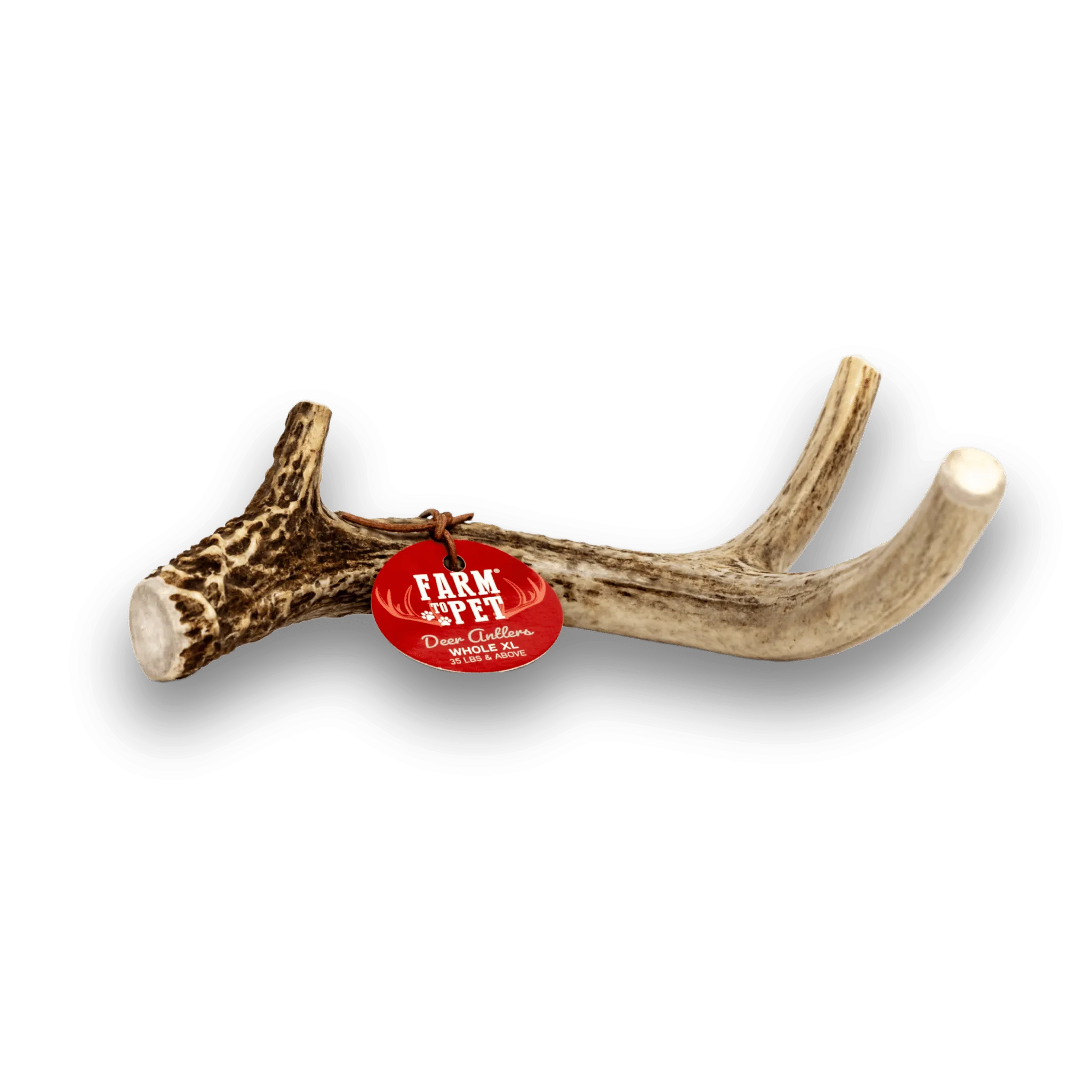 Deer Antlers for Dogs