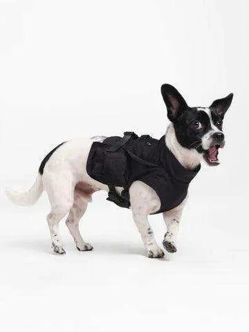 Dog Outdoor Vest