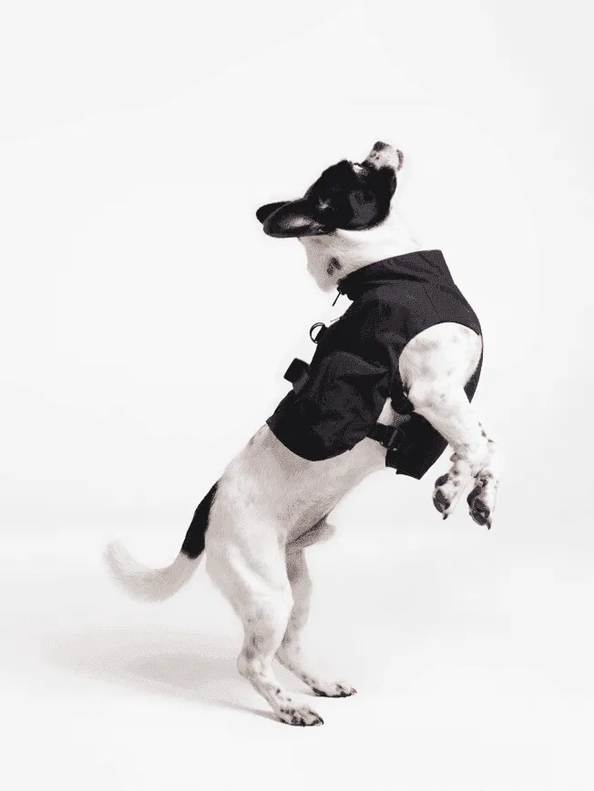 Dog Outdoor Vest