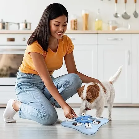 Dog Puzzle Toy ( Blue Square)