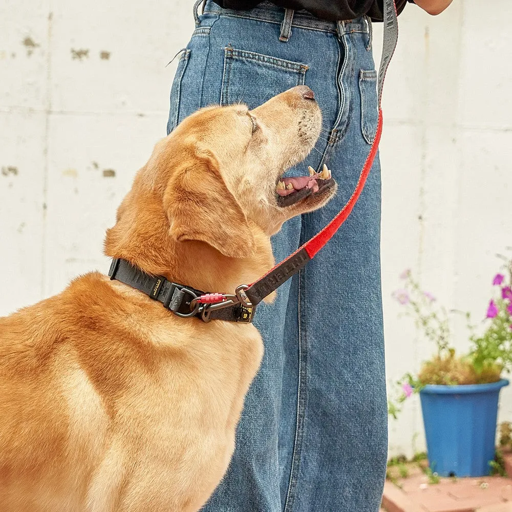 Earthtec Standard Dog Collar