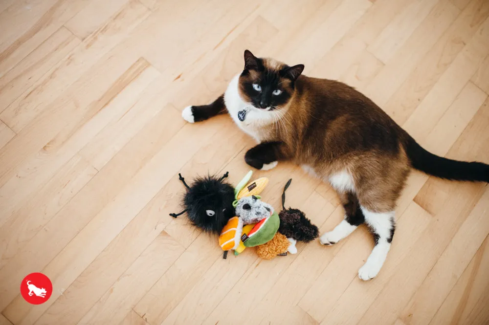 Feline Frenzy, Cat Toy set: Farm To Tabby