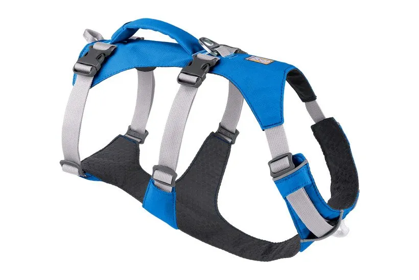 Flagline Dog Harness