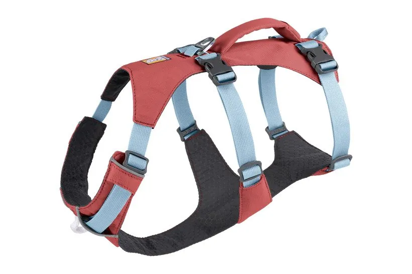 Flagline Dog Harness