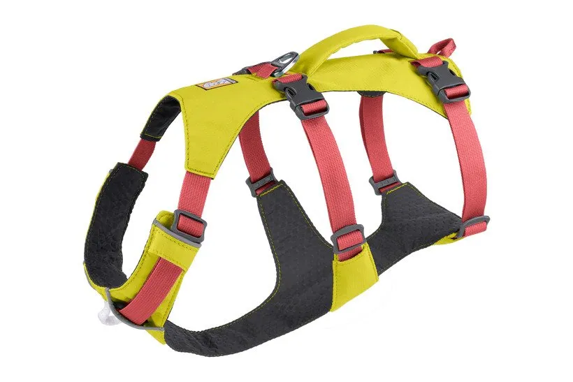 Flagline Dog Harness