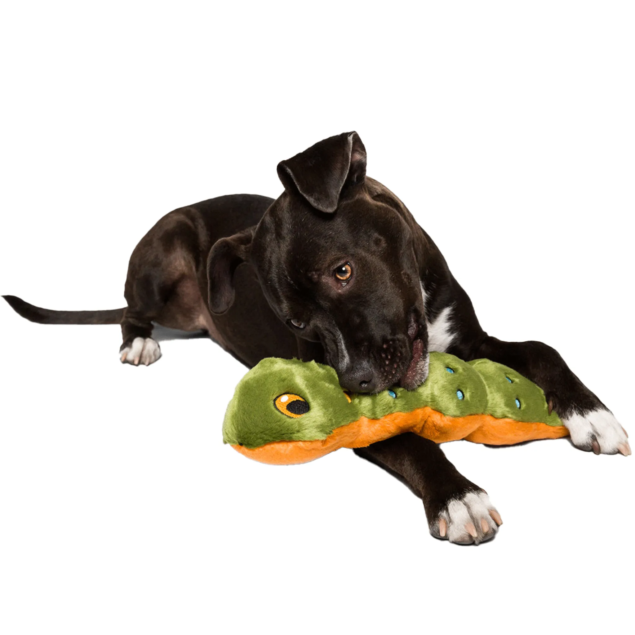 Fluff & Tuff Katie Caterpillar Dog Toy