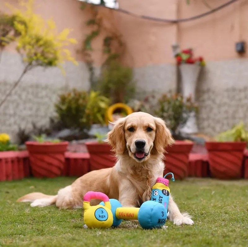 Goofy Tails Gym Series Dumbbell Plush Toy Combo  | Squeaky Toy For Dogs and Puppies