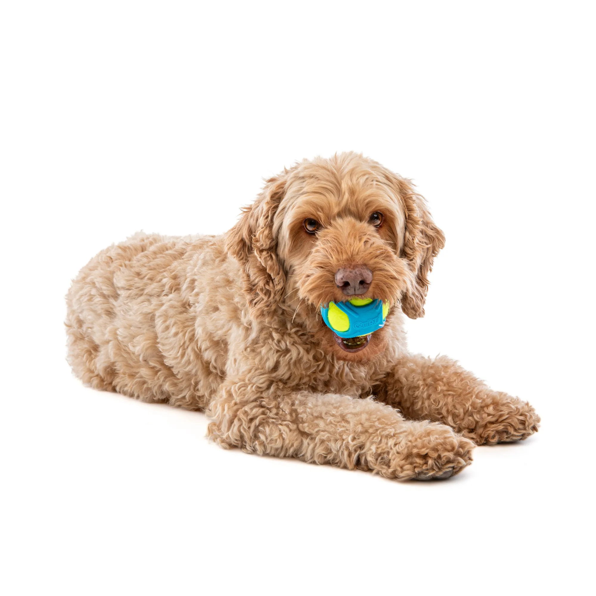 GURU Tennis Max Ball Dog Toy Medium