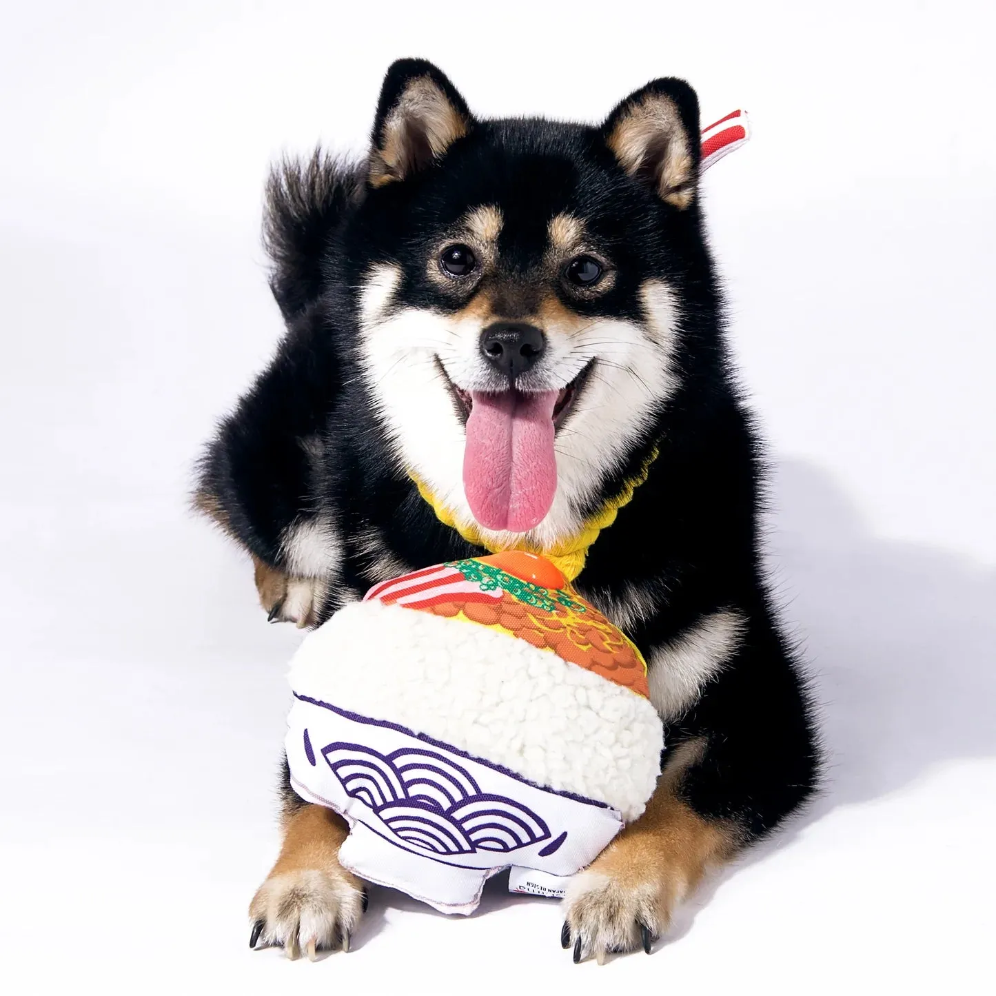 Kashima Chew Dog Toy (Natto)