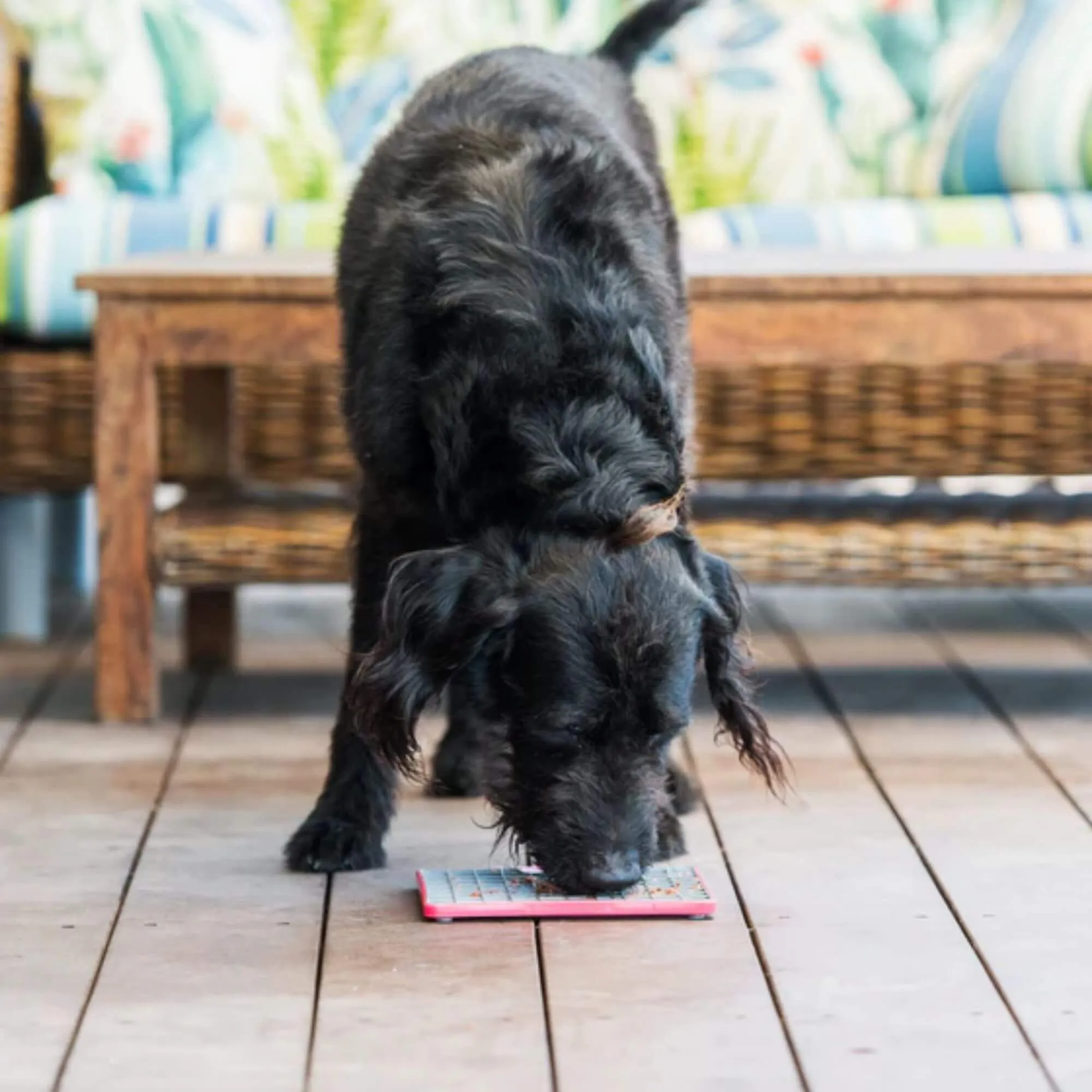 LickiMat Tuff Playdate Slow Feeder Mat for Dogs