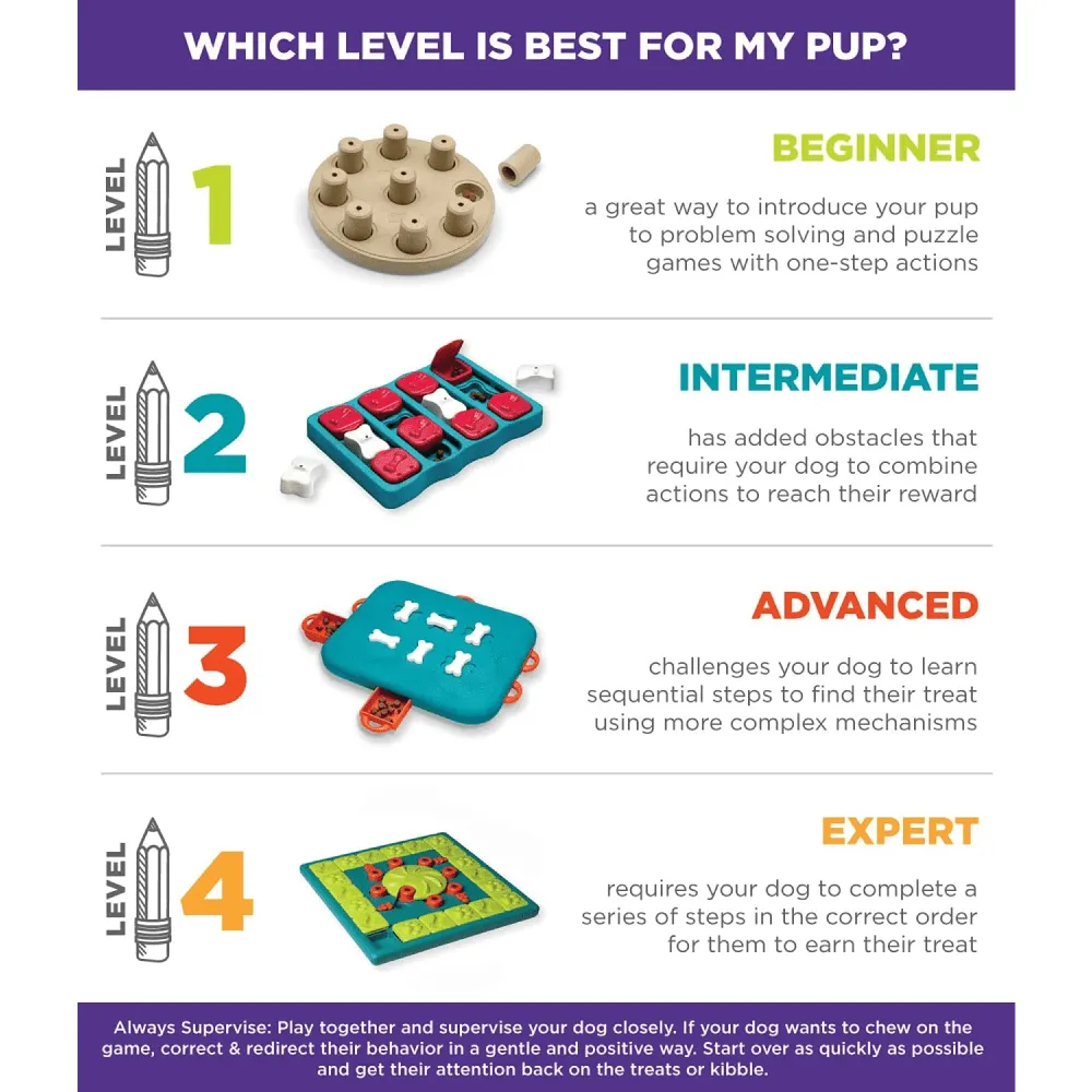 Outward Hound Nina Ottosson Dog Smart Puzzle for Dogs (Level 1 Beginner)