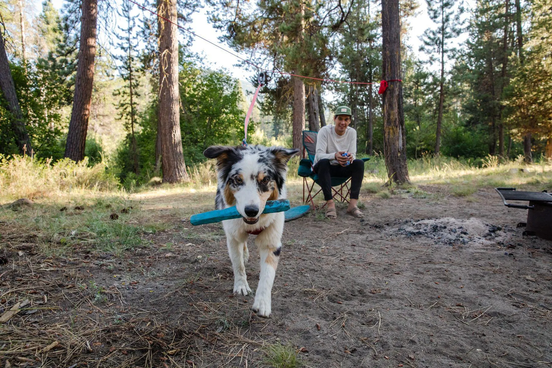 Ruffwear Gnawt-A-Stick