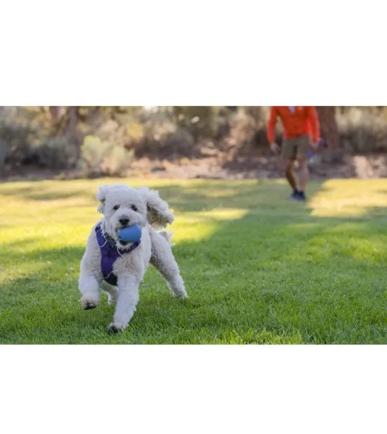 Ruffwear Huckama™ Interactive Rubber Throw Dog Toy (Sage Green)