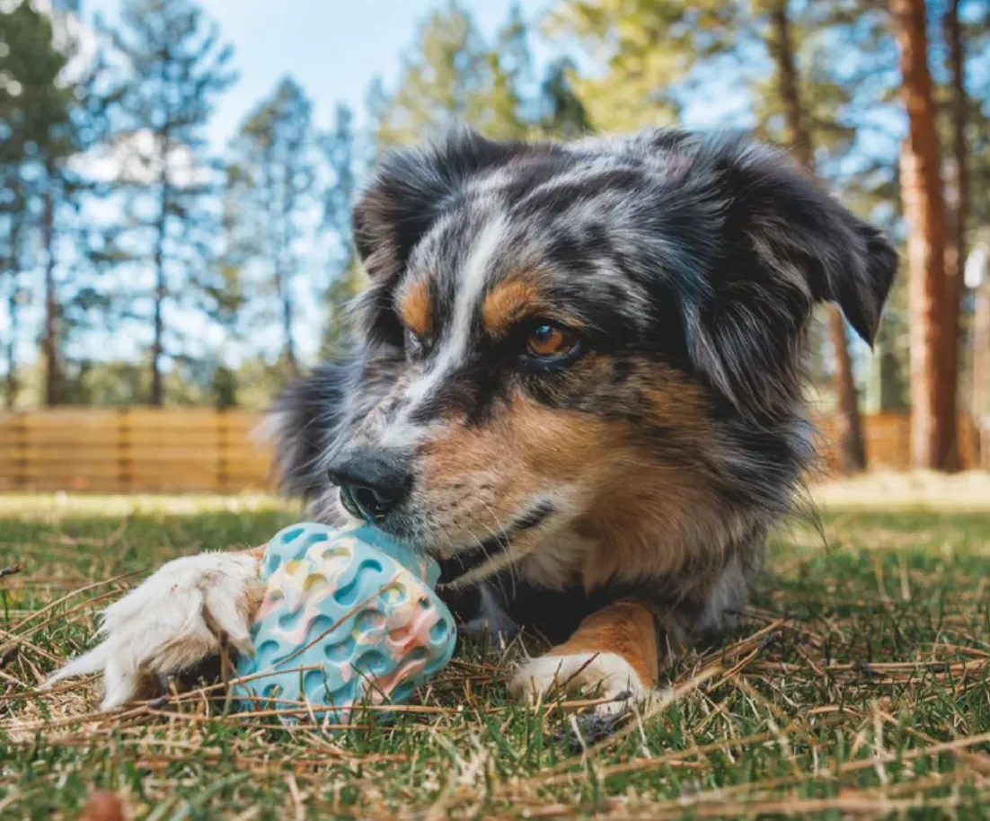 Ruffwear Morel Toy