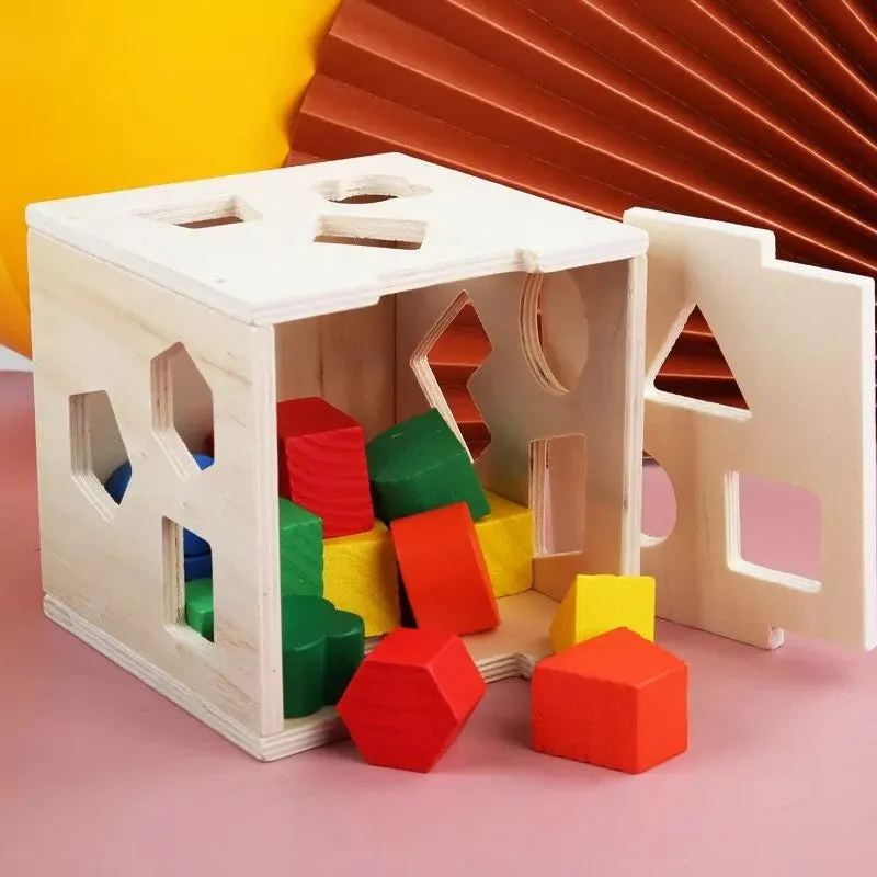 Shape Sorting Intelligence Box - 15 pieces