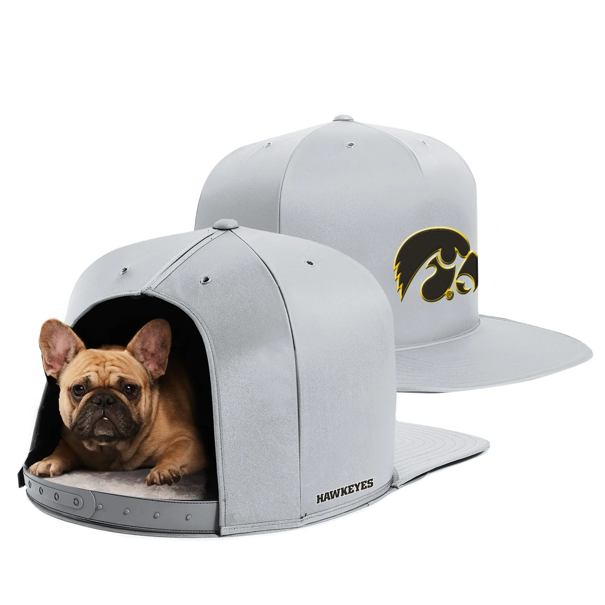 UNIVERSITY OF IOWA NAP CAP PREMIUM DOG BED