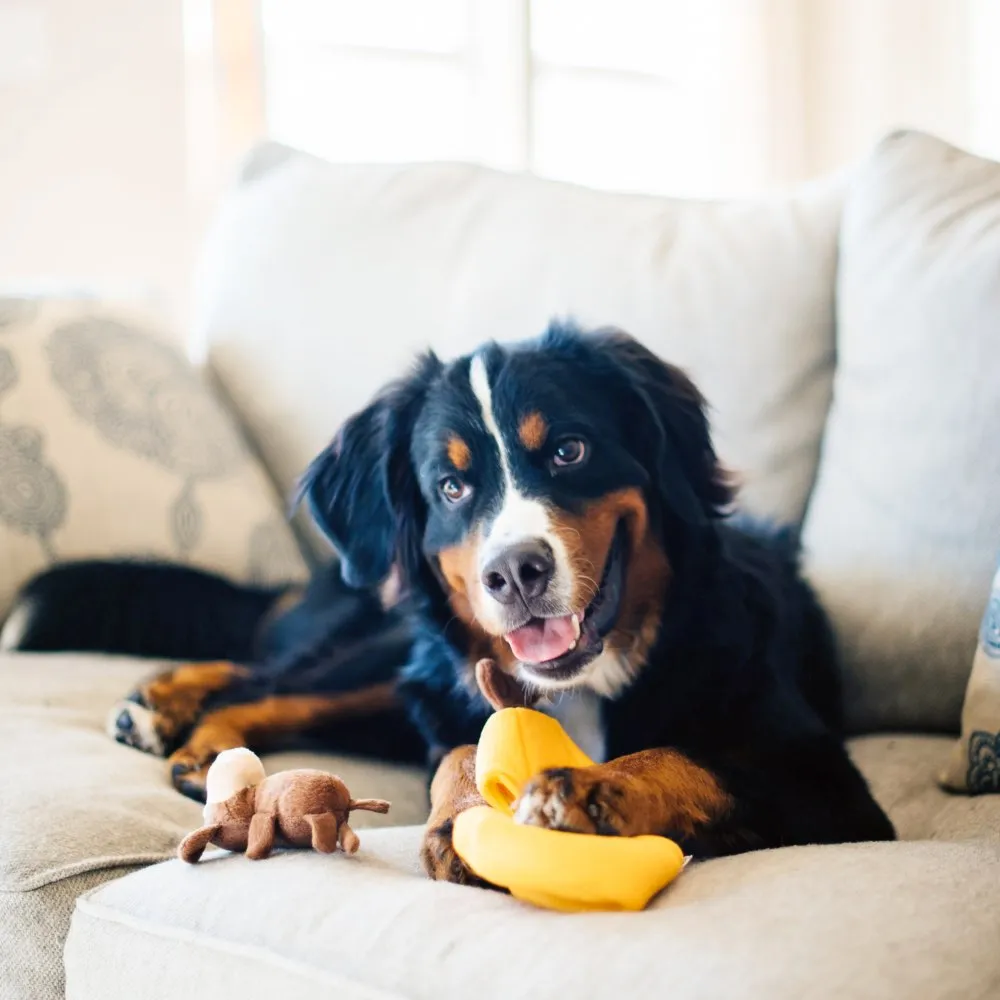 ZippyPaws Burrow Monkey 'n Banana Dog Toy